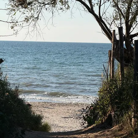 Kashmir F72 Let's Sea Gąski